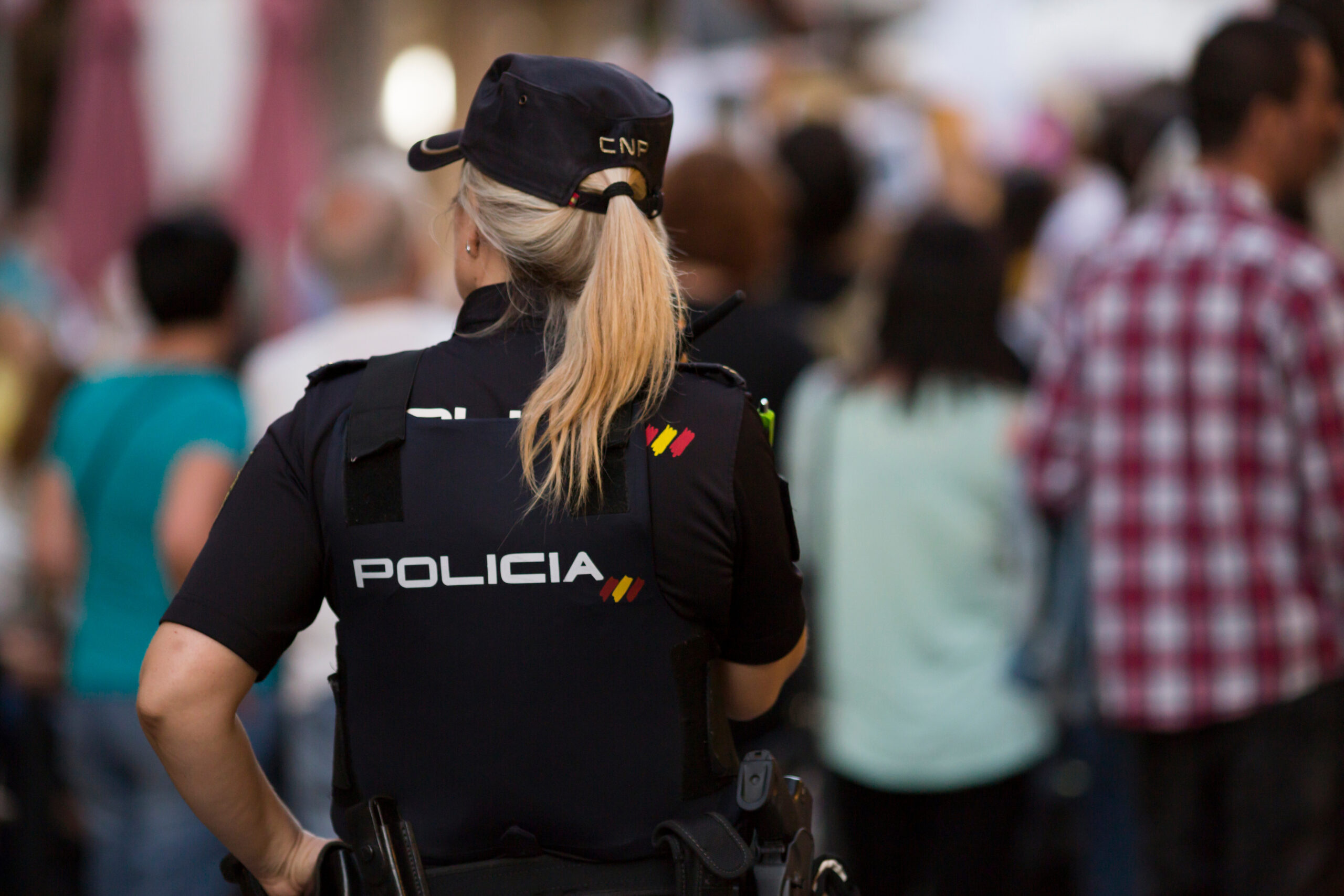 Vera2 Gestión